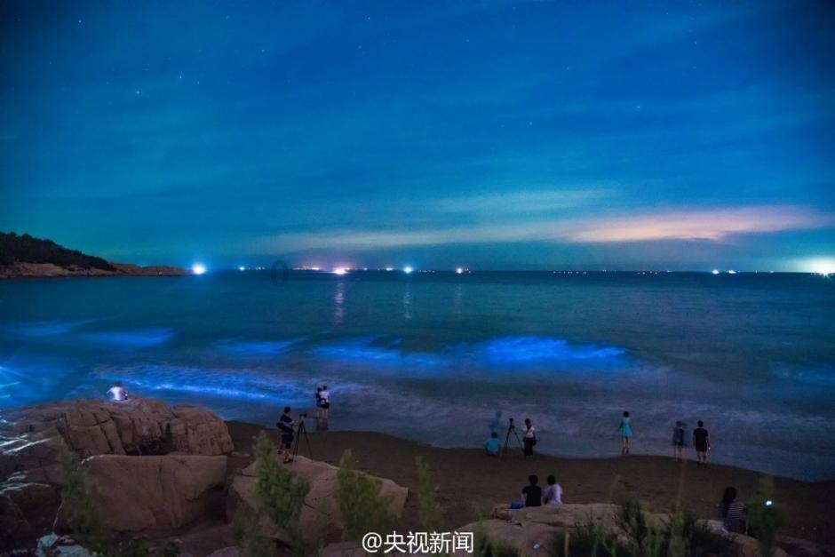 春雨直播app